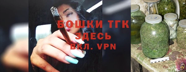 крисы Няндома