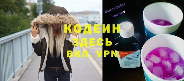 крисы Няндома