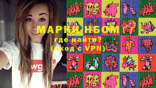 крисы Няндома