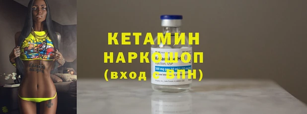крисы Няндома