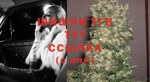 крисы Няндома