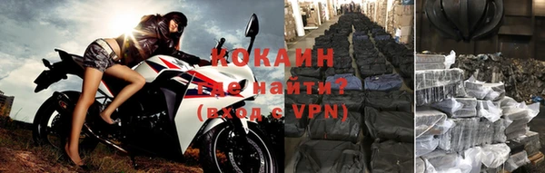 крисы Няндома