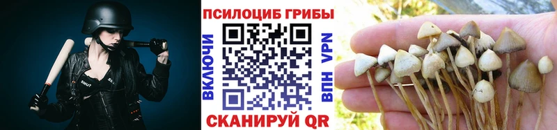 что такое   Саров  Псилоцибиновые грибы Cubensis 