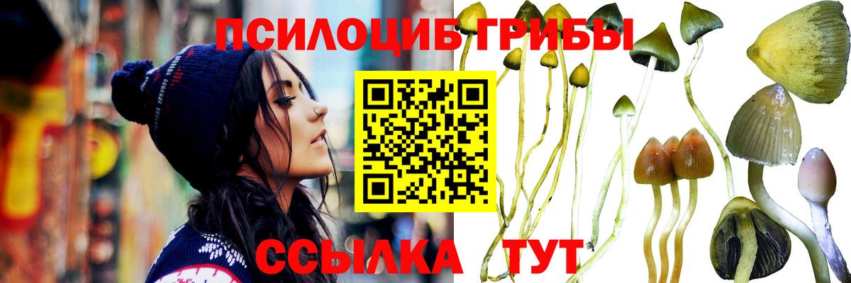 Галлюциногенные грибы Magic Shrooms Саров